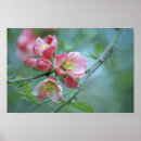 Search for apple blossoms art Outdoors