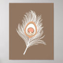 Search for white peacock posters Feathers