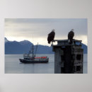 Search for alaska eagle art Wildlife