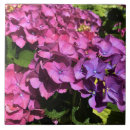 Search for hydrangea tiles Purple