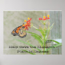 Search for save butterflies posters Nature