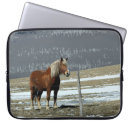 Search for livestock cases Farm