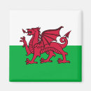 Search for dragon magnets United kingdom