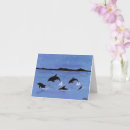 Search for dolphin cards Watercolor