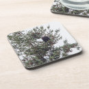 Search for eagle coasters Tree