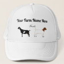 Search for herding hats Animal
