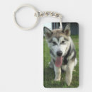 Search for sled dog key rings Puppy