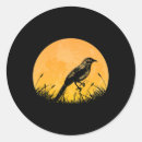 Search for passerines Halloween