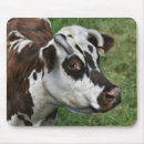 Search for brindle electronics Animal