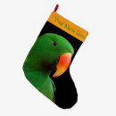 Search for parrot christmas stockings Tropical bird