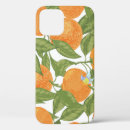 Search for mandarin iphone cases Illustration