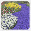 Search for hyacinth stickers Landscape