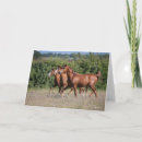Search for chestnut horse cards Bob langrish