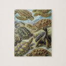 Search for biology science puzzles Nature