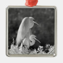 Search for egret christmas tree decorations White