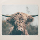 Search for cow blankets Portrait