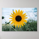 Search for outside art Sunflower
