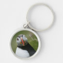 Search for puffins rounded key rings Nature