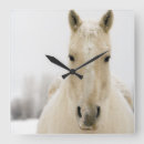 Search for wild one clocks Nature