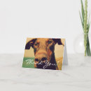 Search for doberman cards Pet