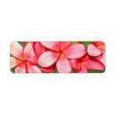 Search for pink plumeria return address labels Nature