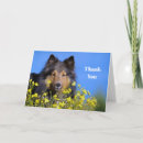 Search for sheltie cards Collie