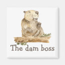 Search for dam magnets Beaver