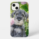 Search for cute schnauzer iphone cases Standard