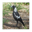 Search for magpie home decor Australia