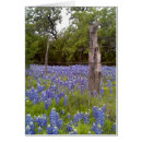 Search for country fence postcards Green