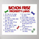 Search for bichons posters Cute