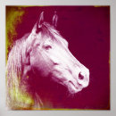 Search for equines posters Photography