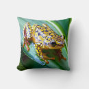 Search for dart frog Beautiful