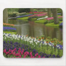 Search for environment mousepads Stream