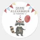 Search for racoon stickers Watercolor