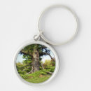 Search for cedar key rings Tree