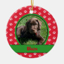 Search for puppys first christmas tree decorations New puppy