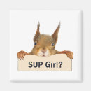 Search for sup magnets What's up