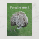 Search for forgiveness postcards Funny