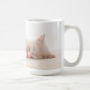 Search for british shorthair mugs Kitten
