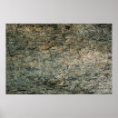 Search for the bark of art Board
