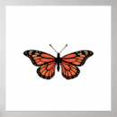 Search for monarch butterfly posters Orange