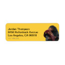 Search for beast return address labels Fantastic beasts