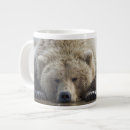 Search for arctos mugs Brown bear
