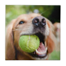 Search for balls tiles Puppy