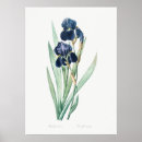Search for retro german posters Floral