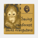 Search for rainforest magnets Conservation