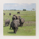 Search for elephant puzzles Africa