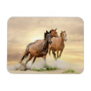 Search for draught magnets Equestrian