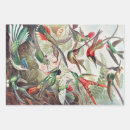 Search for science wrapping paper Ernst haeckel
